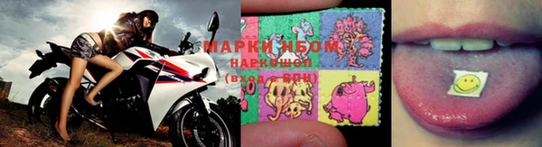 PSILOCYBIN Армянск