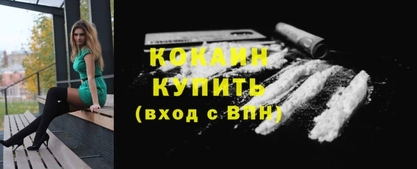 дживик Балахна