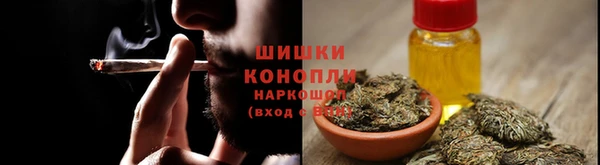 spice Арсеньев