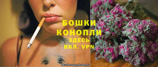 spice Арсеньев