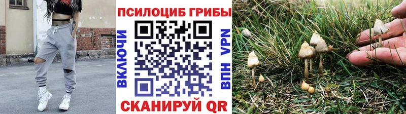Галлюциногенные грибы Psilocybine cubensis  Карталы 